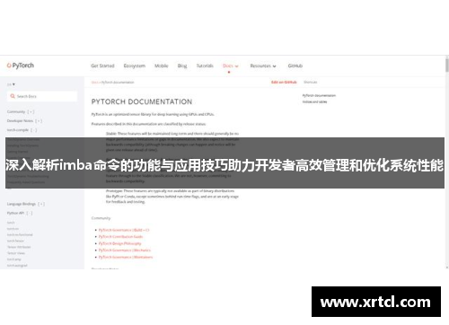 深入解析imba命令的功能与应用技巧助力开发者高效管理和优化系统性能