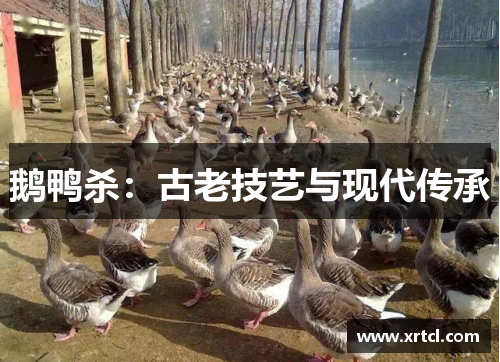 鹅鸭杀：古老技艺与现代传承